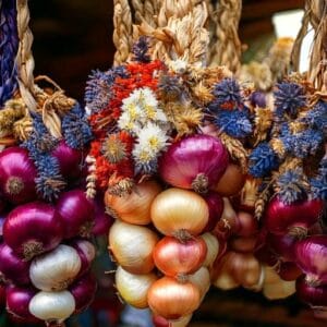 Zibelezöpf Zibelezöpf