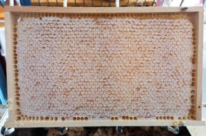 Bienenwachsprodukte und Honig aus der eigenen Imkerei
